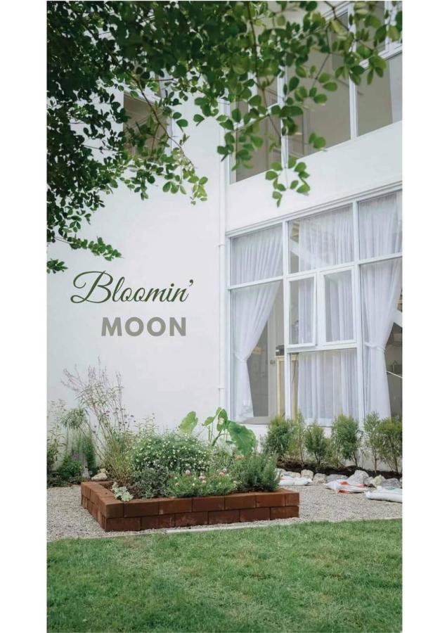 Bloomin' Moon Hostel & Cafe, Chiang Mai Old Town Eksteriør bilde